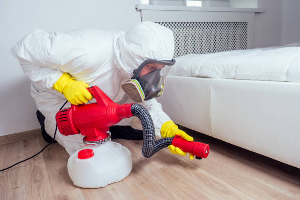 Reliable Glendale, CA Pest Control Solutions